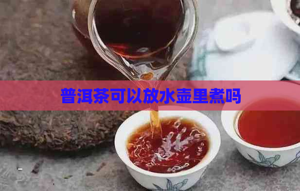 普洱茶可以放水壶里煮吗