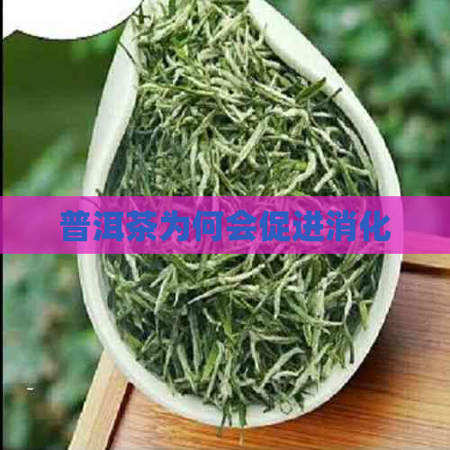 普洱茶为何会促进消化