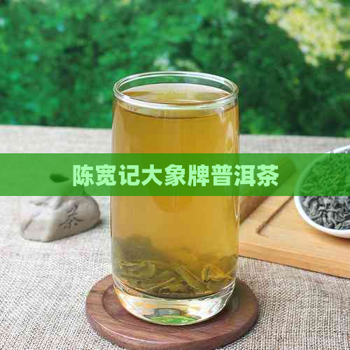 陈宽记大象牌普洱茶