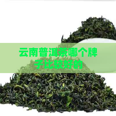 云南普洱茶哪个牌子比较好的