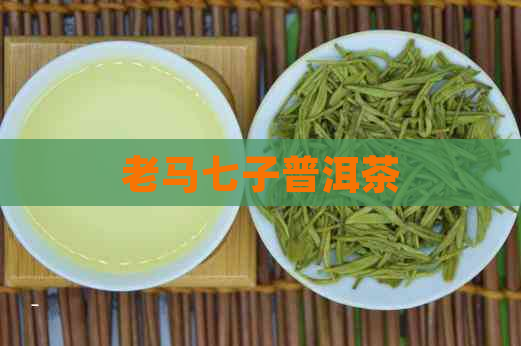 老马七子普洱茶