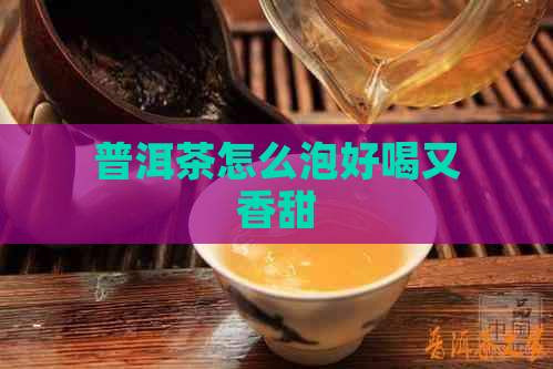 普洱茶怎么泡好喝又香甜