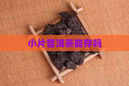 小片普洱茶能存吗