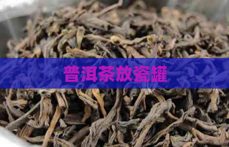 普洱茶放瓷罐