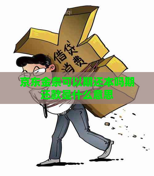 京东金条可以期还本吗期还款是什么意思