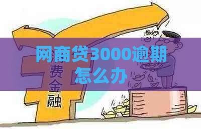 网商贷3000逾期怎么办