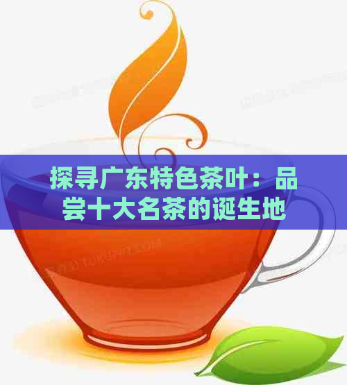 探寻广东特色茶叶：品尝十大名茶的诞生地