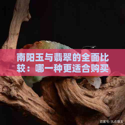 南阳玉与翡翠的全面比较：哪一种更适合购买？