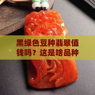 黑绿色豆种翡翠值钱吗？这是啥品种？长啥样？