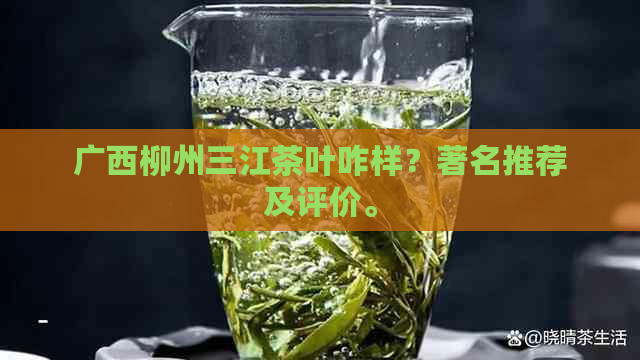 广西柳州三江茶叶咋样？著名推荐及评价。