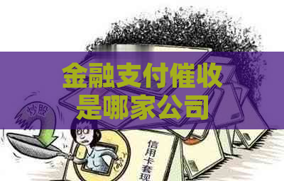 金融支付是哪家公司