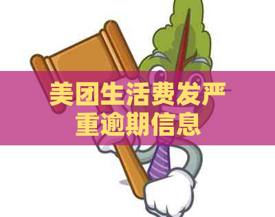 美团生活费发严重逾期信息