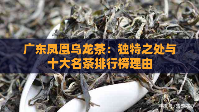 广东凤凰乌龙茶：独特之处与十大名茶排行榜理由