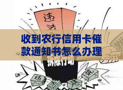 收到农行信用卡催款通知书怎么办理