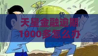 天星金融逾期1000多怎么办