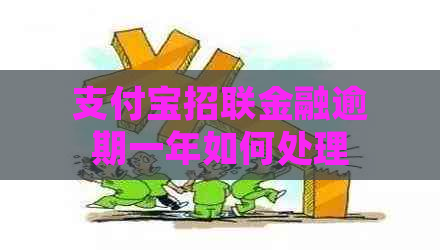 支付宝招联金融逾期一年如何处理