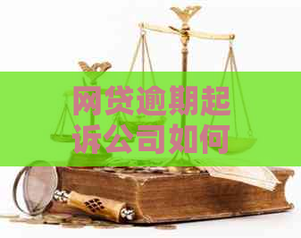 网贷逾期起诉公司如何应对