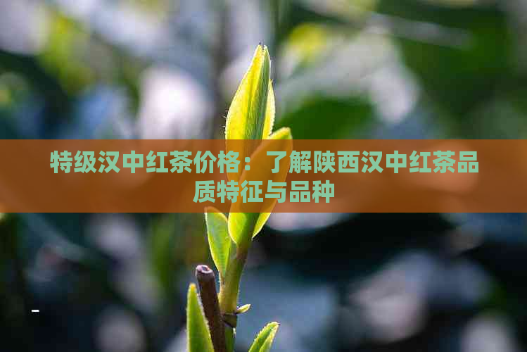 特级汉中红茶价格：了解陕西汉中红茶品质特征与品种