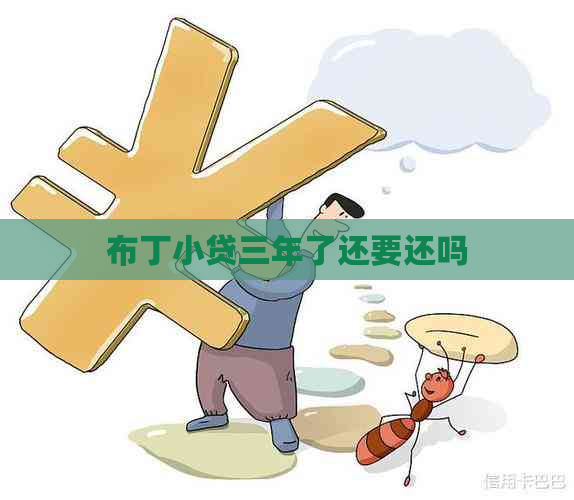 布丁小贷三年了还要还吗