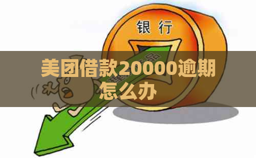 美团借款20000逾期怎么办