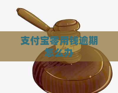 支付宝零用钱逾期怎么办