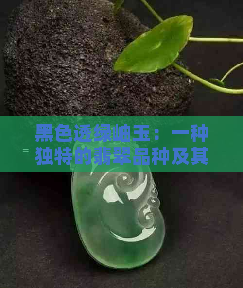 黑色透绿岫玉：一种独特的翡翠品种及其鉴定方法