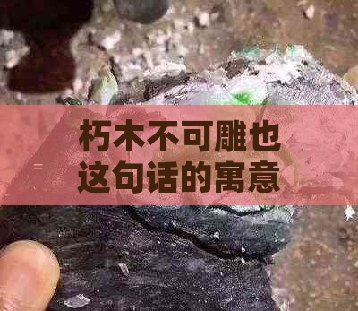 朽木不可雕也这句话的寓意及其在现代社会中的启示