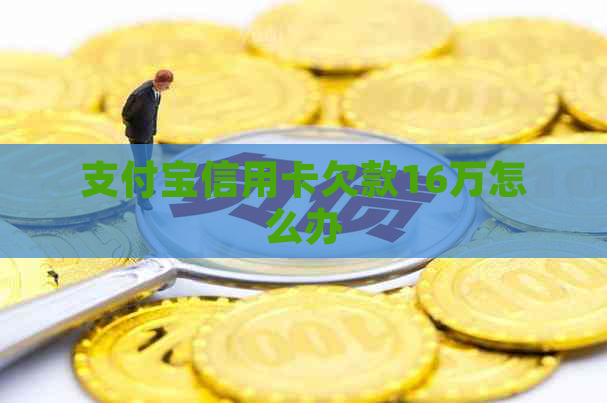 支付宝信用卡欠款16万怎么办