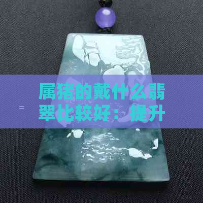 属猪的戴什么翡翠比较好：提升运势与魅力的选择