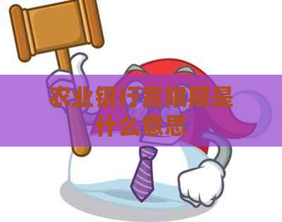 农业银行宽限期是什么意思