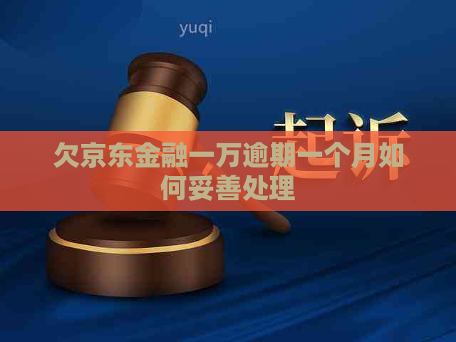 欠京东金融一万逾期一个月如何妥善处理