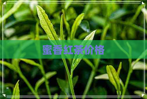 蜜香红茶价格