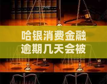 哈银消费金融逾期几天会被吗