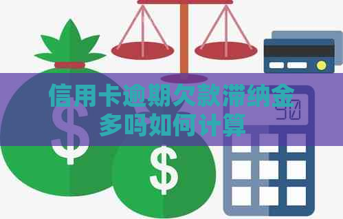 信用卡逾期欠款滞纳金多吗如何计算