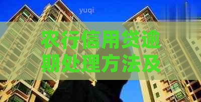 农行信用贷逾期处理方法及注意事项