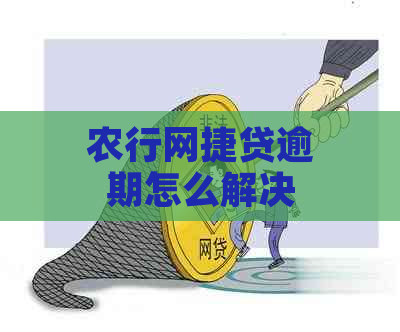 农行网捷贷逾期怎么解决