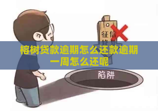 榕树贷款逾期怎么还款逾期一周怎么还呢