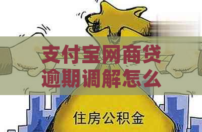 支付宝网商贷逾期调解怎么操作