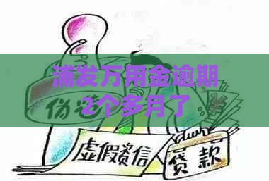 浦发万用金逾期2个多月了