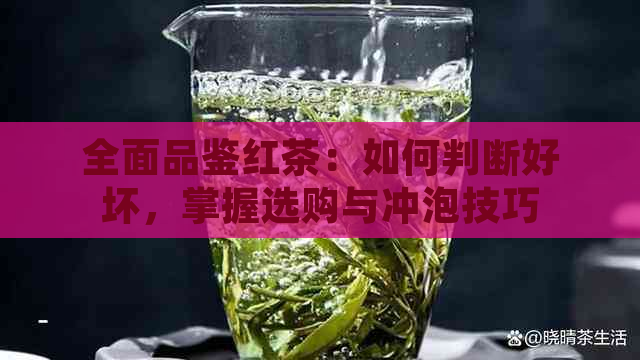 全面品鉴红茶：如何判断好坏，掌握选购与冲泡技巧