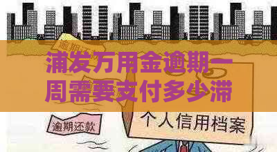 浦发万用金逾期一周需要支付多少滞纳金