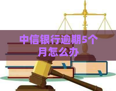 中信银行逾期5个月怎么办