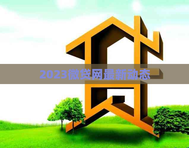 2023微贷网最新动态