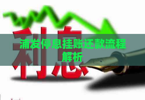 浦发停息挂账还款流程解析