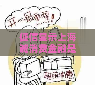 显示上海诚消费金融是什么情况