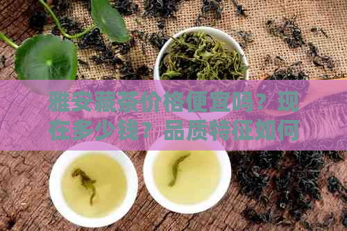 雅安藏茶价格便宜吗？现在多少钱？品质特征如何？