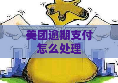 美团逾期支付怎么处理