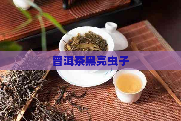 普洱茶黑亮虫子