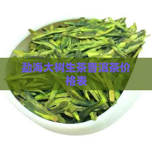 勐海大树生茶普洱茶价格表