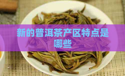 新的普洱茶产区特点是哪些